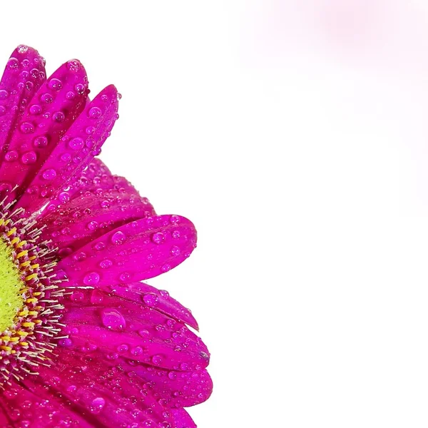 乐天堂体育棋牌游戏